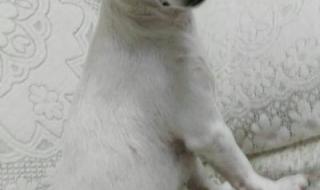 五六音乐下午茶